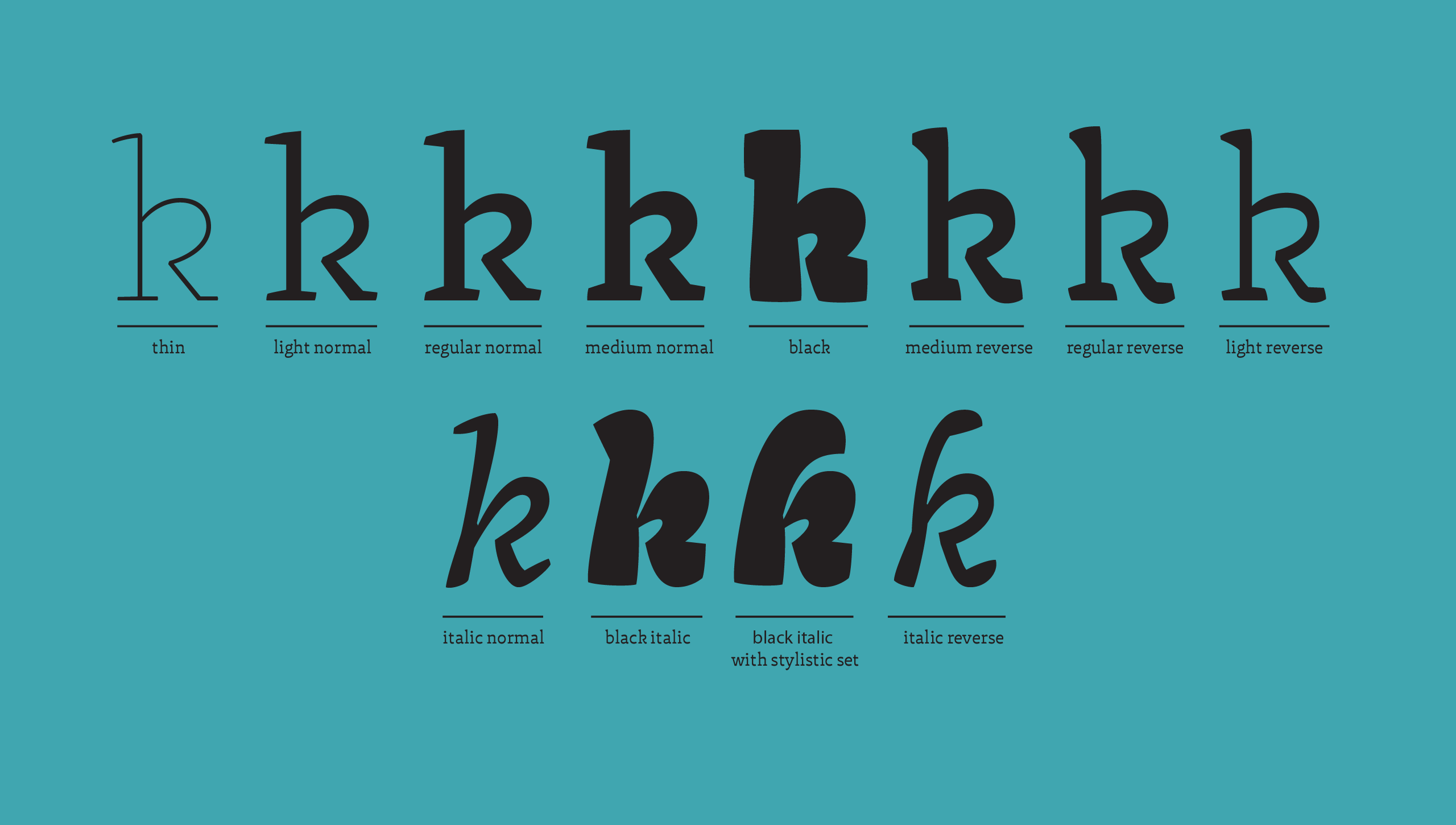 Kin_specimen_01
